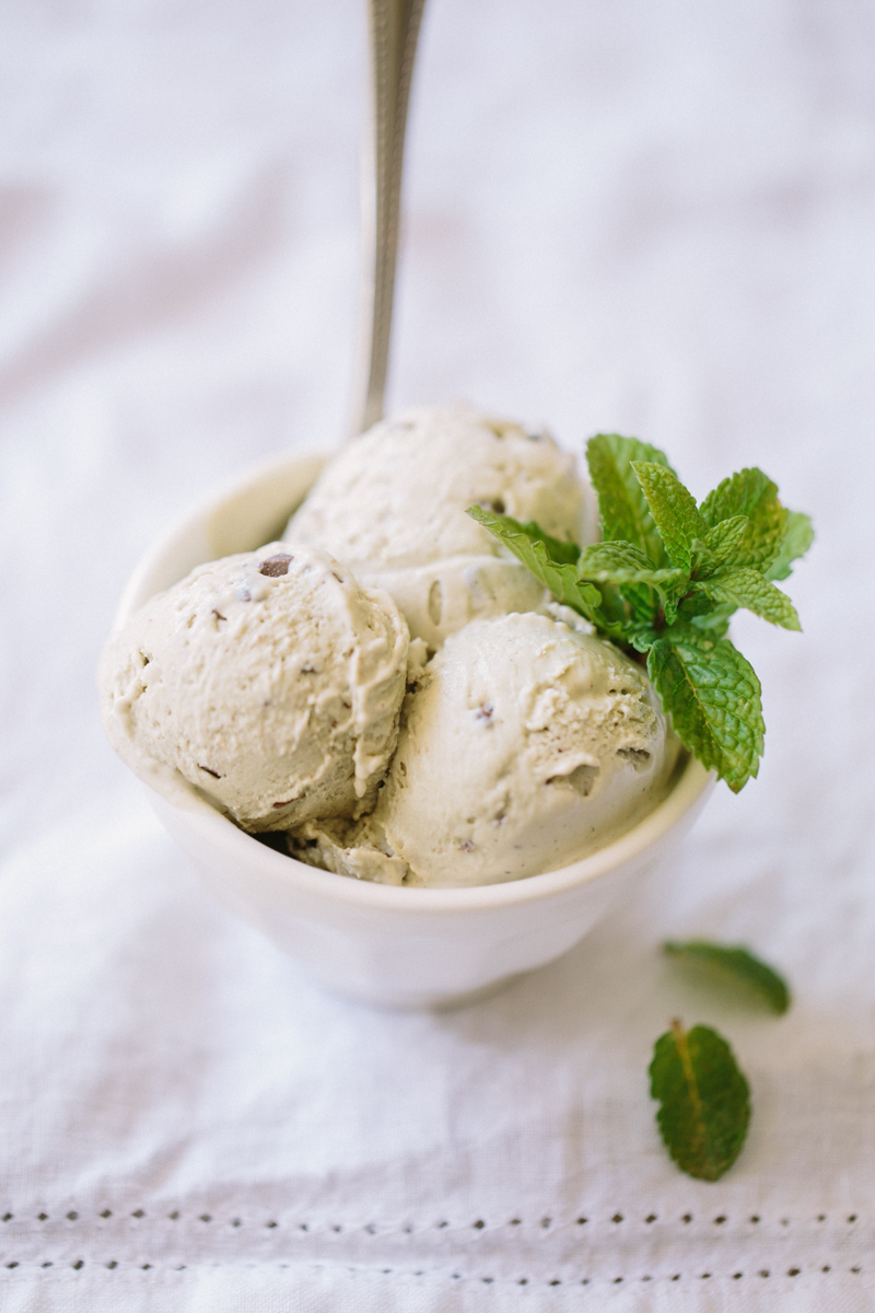 Dairy Free Mint Chocolate Chip Ice Cream by Colorful Eats