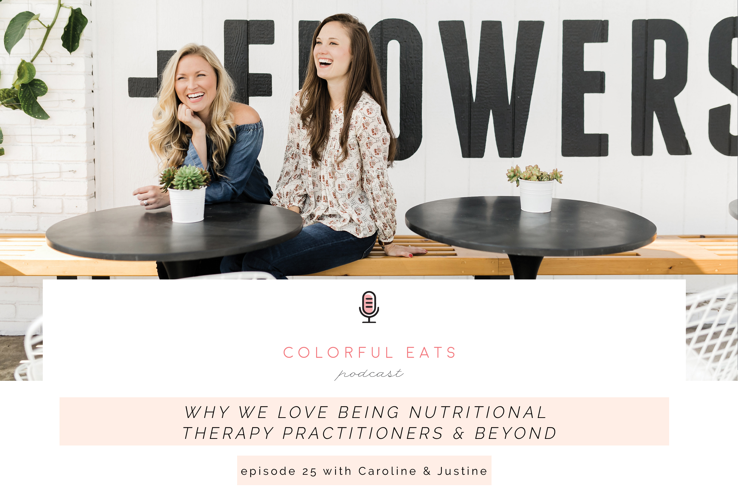 Colorful Eats Podcast: Episode 25 Why We Love Being Nutritional Therapy Practitioners and Beyond