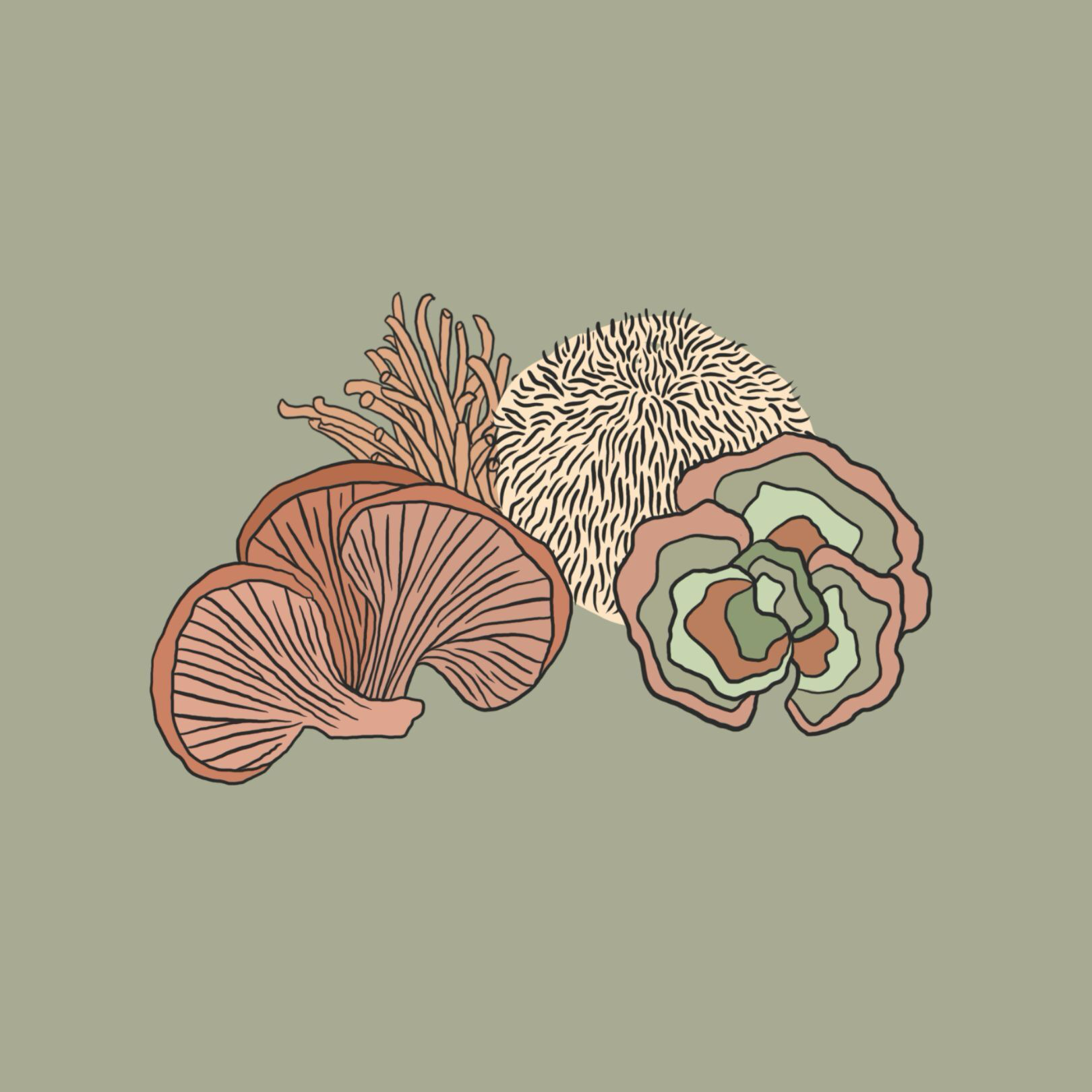 graphic of functional mushrooms